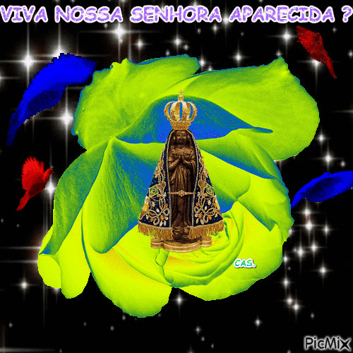 VIVA NOSSA SENHORA APARECIDA . - Free animated GIF