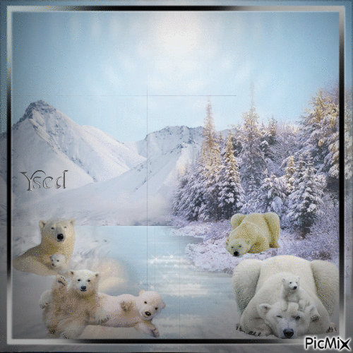 Familia de osos... - Free animated GIF