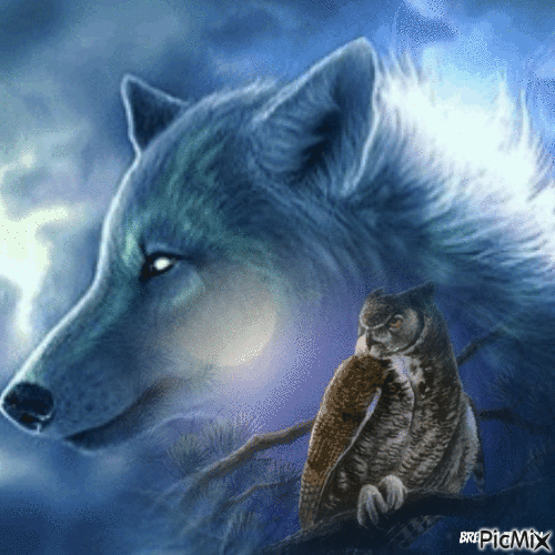 owl / wolf - Gratis animerad GIF