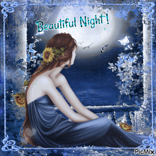 Beautiful Night ! - Ilmainen animoitu GIF