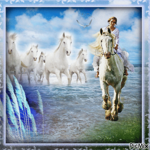 Beyaz atlar ve kadın - 無料のアニメーション GIF