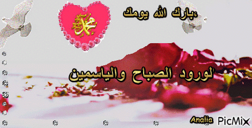 الورود الصباح والياسمين *  بارك الله يومك، - Bezmaksas animēts GIF