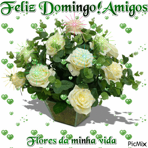 Feliz Domingo Amigos - GIF เคลื่อนไหวฟรี