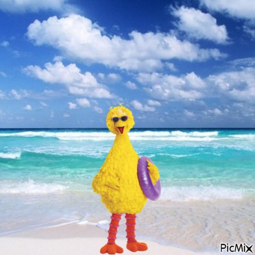 Big Bird at the beach - PNG gratuit