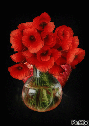bouquet - 免费动画 GIF