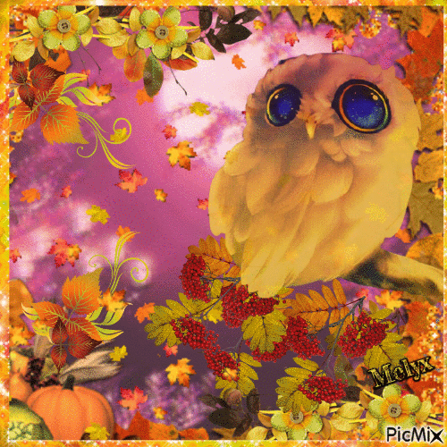 owl in Autumn - Zdarma animovaný GIF