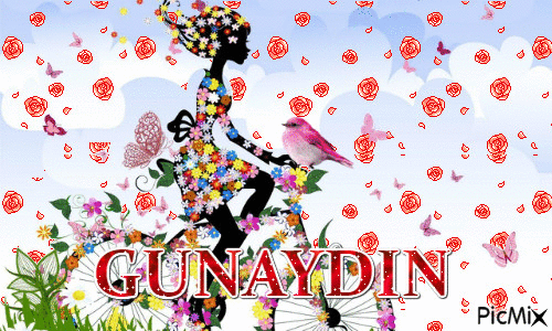 GUNAYDIN - Бесплатный анимированный гифка