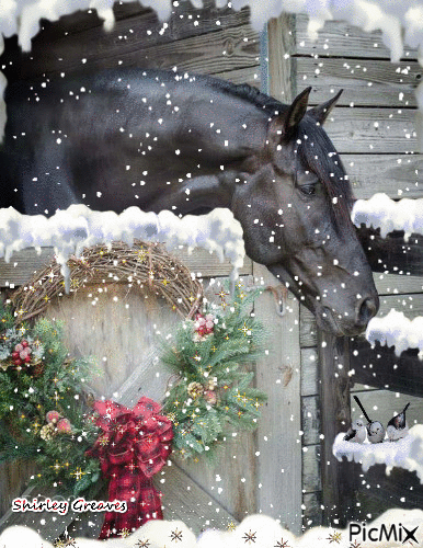 Horse's winter day - Бесплатный анимированный гифка