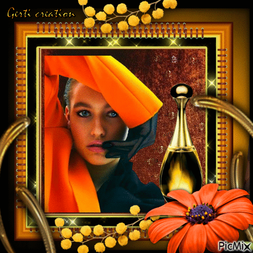 Portrait of a women in orange - Бесплатный анимированный гифка