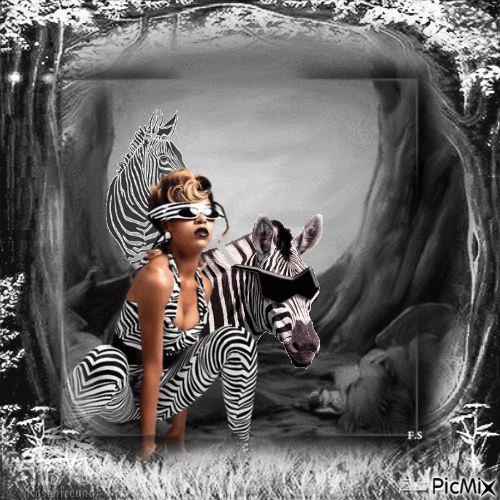 Zebra-Dress - 免费动画 GIF