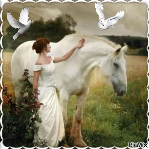 Femme et cheval blanc - kostenlos png