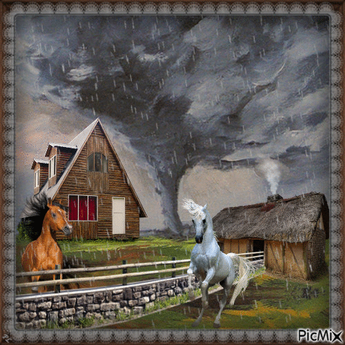 Tornado - Contest - Ingyenes animált GIF
