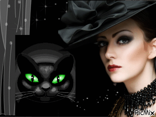 chat noir avec sa petite maîtresse - GIF animasi gratis