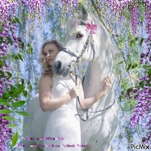 A mulher e o cavalo - Darmowy animowany GIF