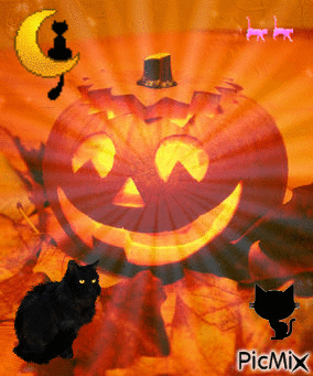 hallowen - Ingyenes animált GIF
