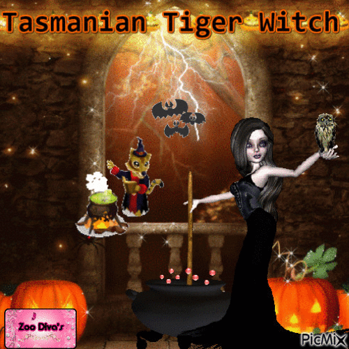 TASMANIAN TIGER WITCH - GIF animado gratis