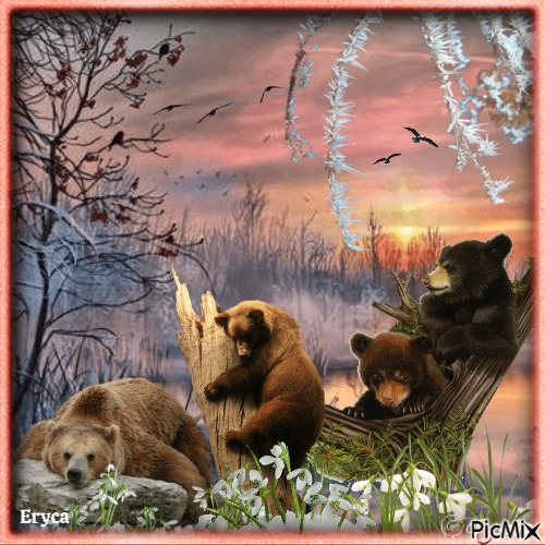 Famille d'ours bruns en hiver - png gratis