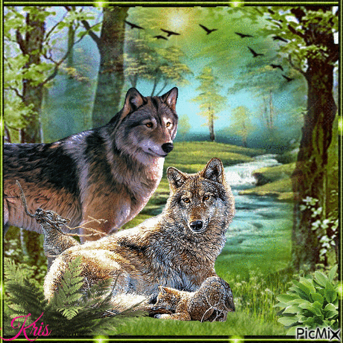 Deux loups - Nemokamas animacinis gif