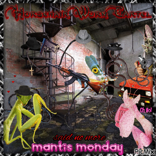 the horsehair worm cartel said no more mantis monday - Free animated GIF