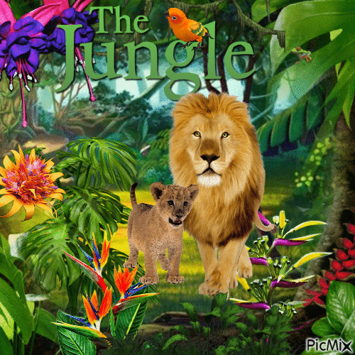 La jungla /  The Jungle - Free animated GIF