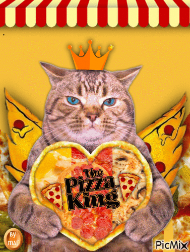Pizza Cat - Δωρεάν κινούμενο GIF