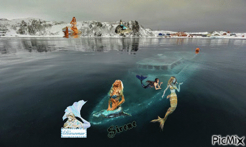 en antartique chant des sirènes - Бесплатный анимированный гифка