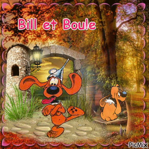 Bill Et Boule - GIF animé gratuit