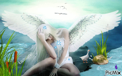 ANGEL - Zdarma animovaný GIF
