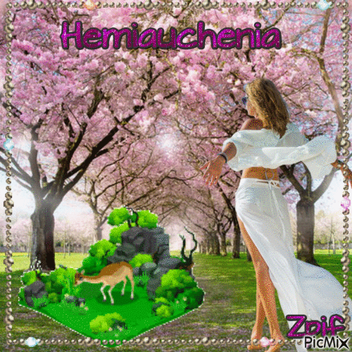 Hemiauchenia - GIF animate gratis