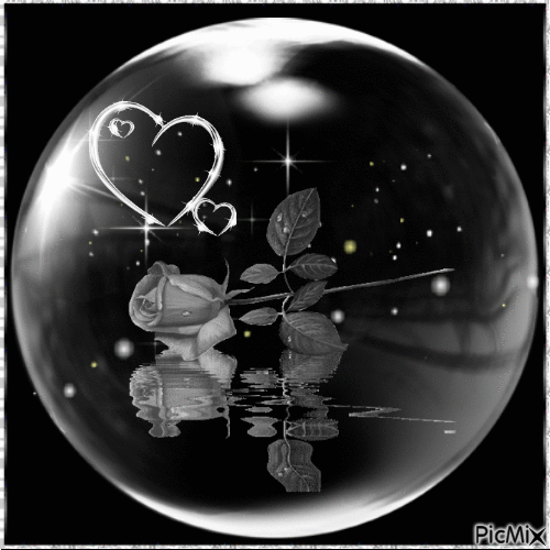 black rose in a bubble - Gratis animerad GIF