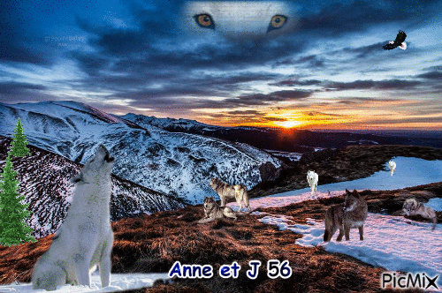 Anne et joel - 免费动画 GIF