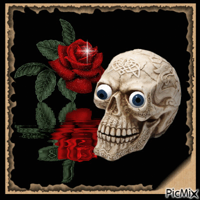rose/skull - Animovaný GIF zadarmo