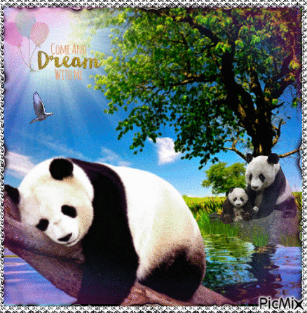 come and dream with me - GIF animate gratis