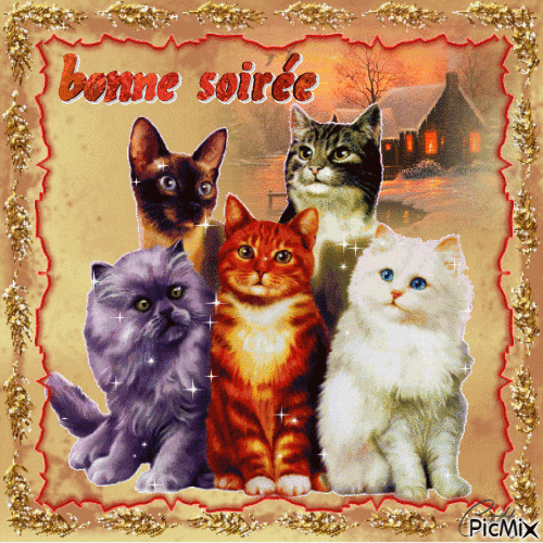 BONNE SOIRÉE - Zdarma animovaný GIF