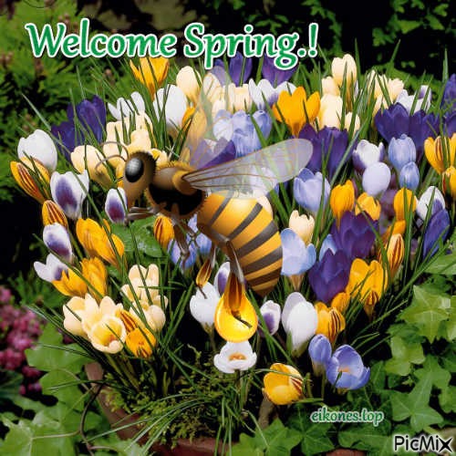 Welcome Spring - png ฟรี