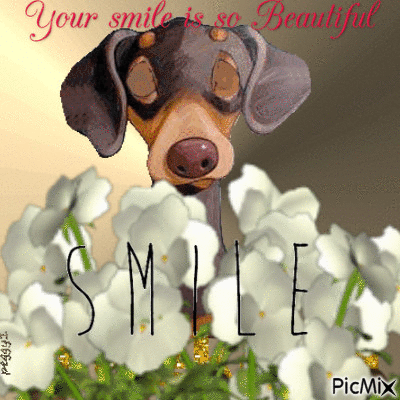 smile - Zdarma animovaný GIF