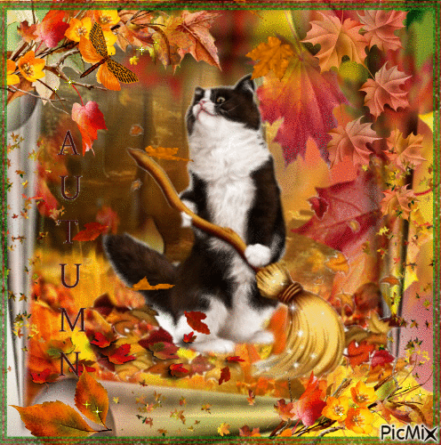 Autumn Cat - Бесплатни анимирани ГИФ