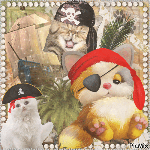 Pirate Cats - Free animated GIF