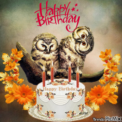 birthday owl - GIF animé gratuit