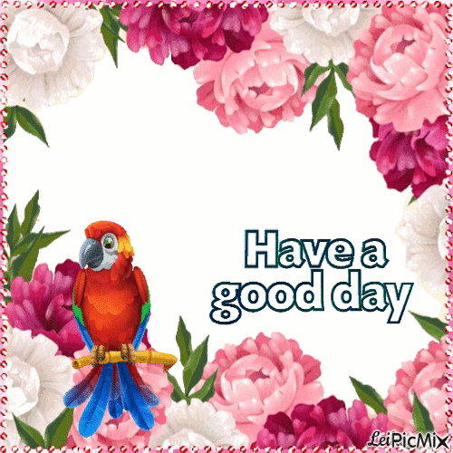Good Morning. Have a Great Day. Flowers and parrot