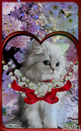 Mon beau chaton d`amour!!! - 無料のアニメーション GIF