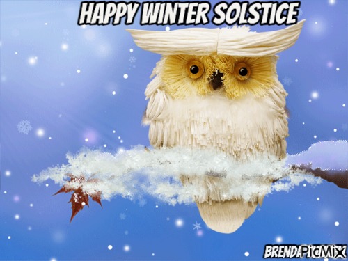 owl winter solstice - nemokama png