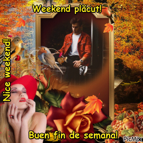 Weekend plăcut!a1 - Free animated GIF