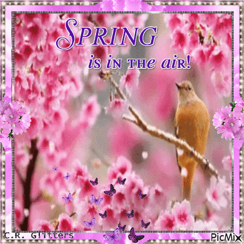 Spring Is In The Air - Nemokamas animacinis gif