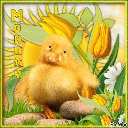 Yellow Animal-RM-02-21-24 - GIF animasi gratis