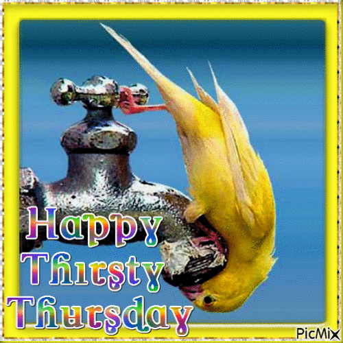 Thirsty Thursday - Free animated GIF