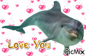 Dolphin - Besplatni animirani GIF