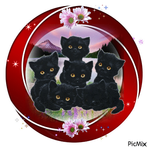 Kittens - GIF animasi gratis