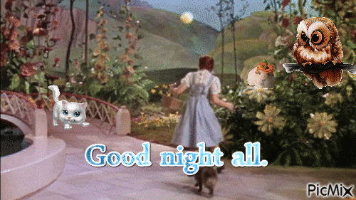 Good Night Oz - Zdarma animovaný GIF