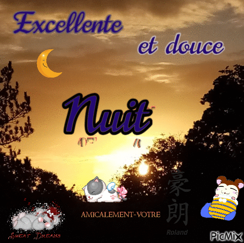 Excellente et douce nuit - Free animated GIF